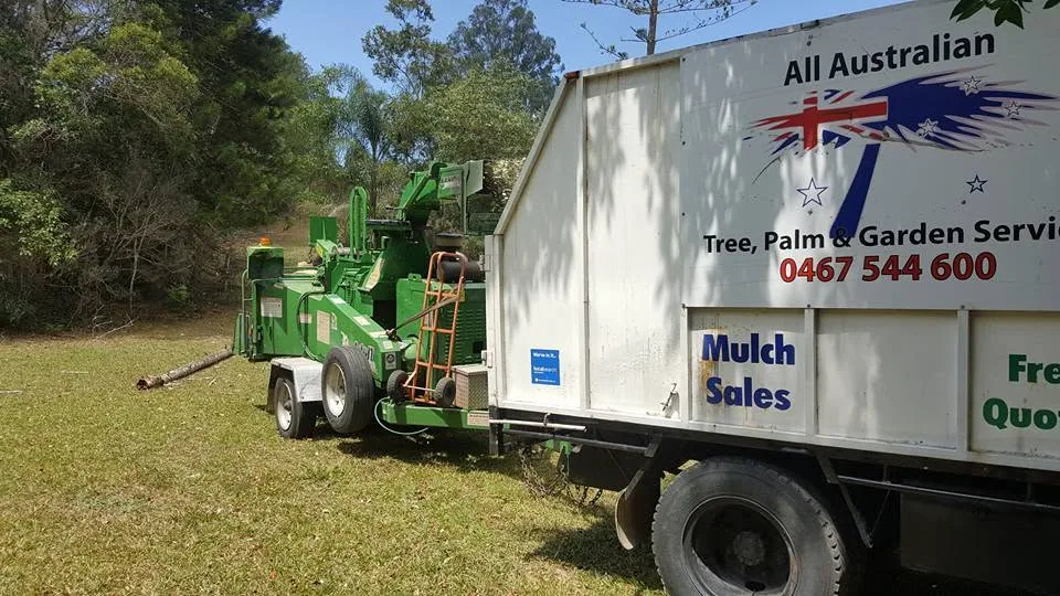 Qualified Level 3 Arborist working safely on a Sunshine Coast property